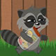 Raccoon'S Adventure