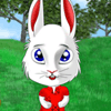 play Funny Bunny