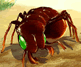 play Bug War