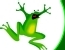 play Frogger