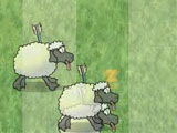 play Sheep Reaction