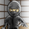 play Ninja