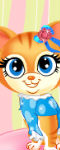 play Pets Beauty Salon