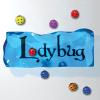 play Ladybug