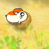 play Hamster Race 4