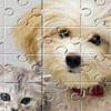 play Dog Puzzle