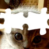 play Kitten Puzzle 2