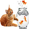 play Fishes And Cat Slide Puzzle