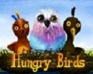 play Hungry Birds