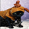 play Black Cat And Snow Slide Puzzle