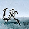 play The Floating Penguins Slide Puzzle