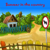 play Summer In The Village. 5 Differences