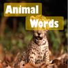 play Animal Words