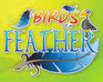 play Birds Of A Feather