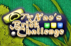 play The Nao'S Brick Challenge