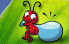 play The Ant Explorer