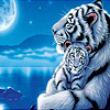 play Mother And Baby Tiger Puzzle