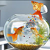 play Nice Hungry Fishes Slide Puzzle