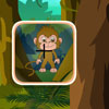 play Monkey Hidden Objects