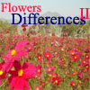 play Flowers Differences 2