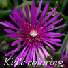 play Kingdom Of The Flowers: Purple Beauty