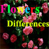 play Flowers Differences