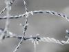 play Barbed Wire In Pieces Of Ice Crystals