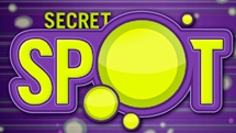 play Secret Spot