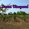 play Secret Vineyard