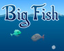 play Big Fish