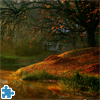 play Autumn Forest Jigsaw Puzzle