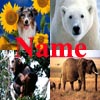 play Name The Animals