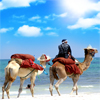 play Camels On The Beach Jigsaw