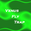 play Venus Fly Trap