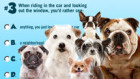 play Hotel For Dogs: Personality Quiz