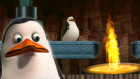 The Penguins Of Madagascar: Private Panic