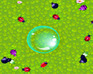 play Bubble Bugs