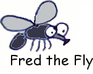 play Fred The Fly