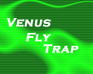 play Venus Fly Trap