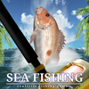 play Sea Fishing