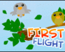 play First Flight