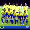 play World Cup 2010 32 Teams - Brazil