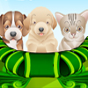 play Puppy And Kitten Caring