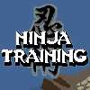 play Ninja Training