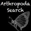 play Arthropoda Search