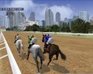 Horse Racing Fantasy