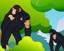 play Chimpanzee Jigsaw