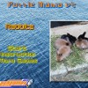 play Puzzle Mania V2 - Rabbits