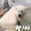play Jigsaw: Polar Bear 2