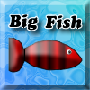 play Big Fish